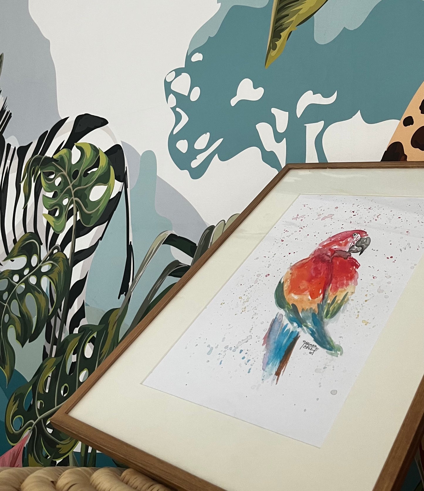 Macaw | Untamed