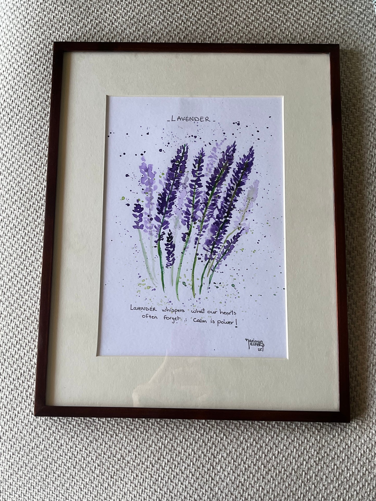 Lavender - The Calm