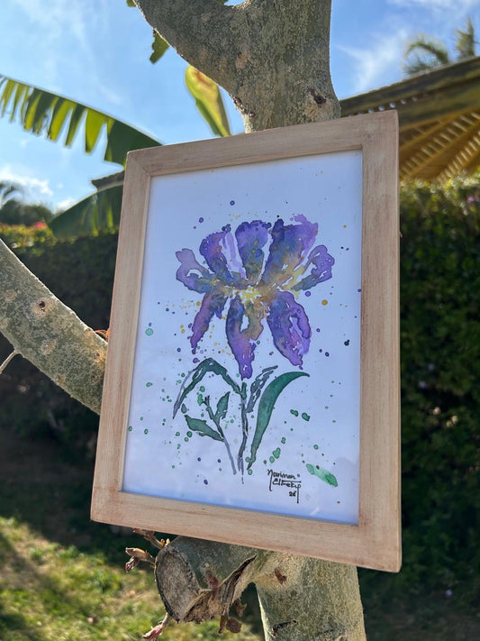 Lonely Iris